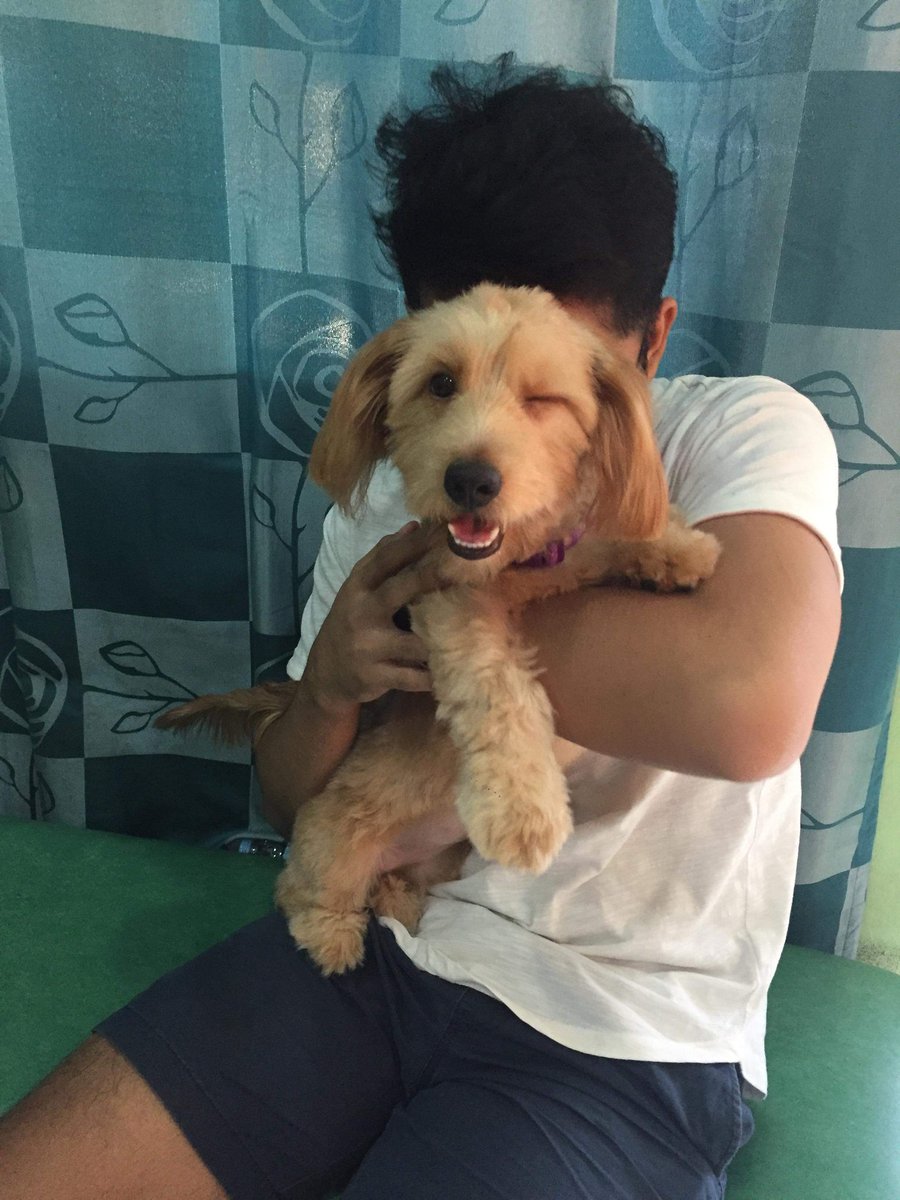 Tonyobuks's tweet photo. You will always be my punggok mermaid pup. Run free baby lucy. I love you 😭😘 https://t.co/YzBBMZHg1z