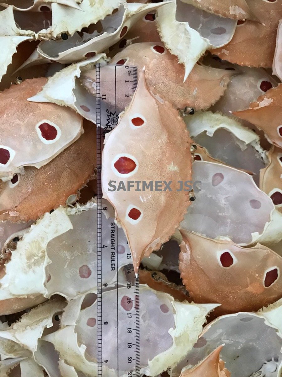 SafimexCo's tweet image. Whole crab shell for food stuffing or decoration - High quality from Safimex JSC for export
#crab #crabs #crabshell #food #foodie #Cooking #gift #giftideas #gifts #decoration #decorations #souvenir #vietnam #america #china #Australia #safimex #ecofriendly #sustainability