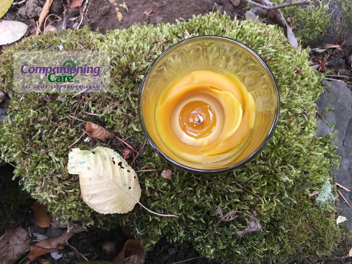 PetEndofLife's tweet photo. Each week, I light a candle in a private ceremony at my home for those who are ailing or aging, or who have died or left someone's life another way. And for those who care about them. This week, the candle was lit for...

#pets #illness #PalliativeCare
https://t.co/D4EIqhp2r7 https://t.co/Yylku0Vb5G
