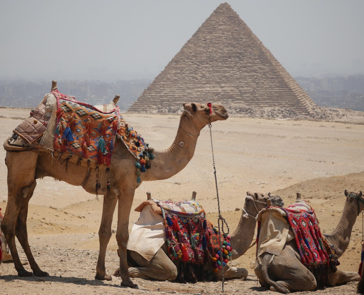 Egypt4Americans's tweet photo. #CamelRide at #GizaPyramids #Egypt with #EgyptForAmericans https://t.co/86dQa90DAI
#ConnectingTwoCultures #MoreInclusionsEgyptTours #BestValueEgyptTours #WeAreEgypt_USAS https://t.co/g93JOexgZu