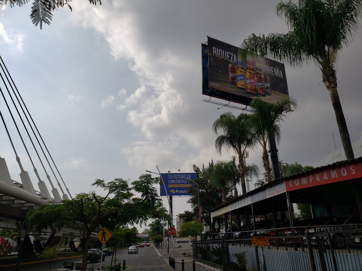 ozorrillo's tweet photo. @ALEXHSILLO @DelToroIsmael Mira, te rebato con fotos: la inacción de su gobierno a pesar de las denuncias: 5 #espectaculeros nuevos en el puente Matute Remus y no mueven ni un dedo. Ya basta! #GDL #ATusOrdenesGDL https://t.co/CO3birFMRC