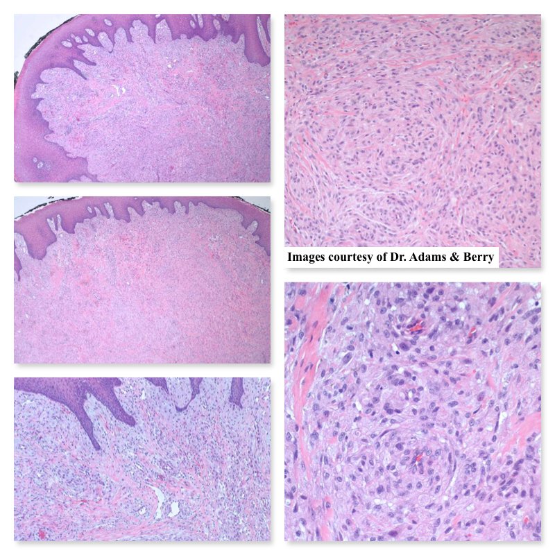South Bay Pathology tweet media