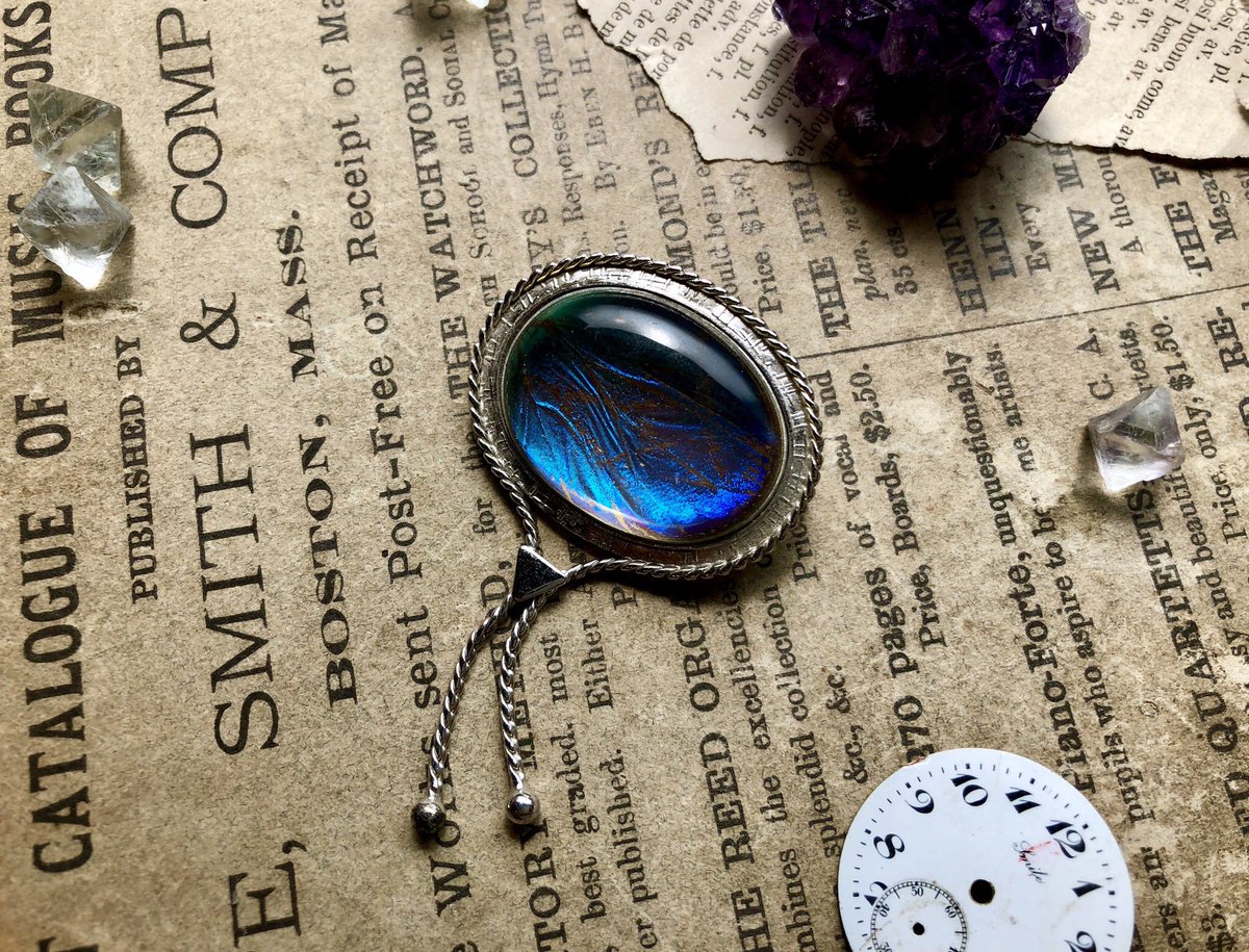 値下げ】モルフォ蝶ブローチ アンティーク ALFANO | www.avredentor.com.br