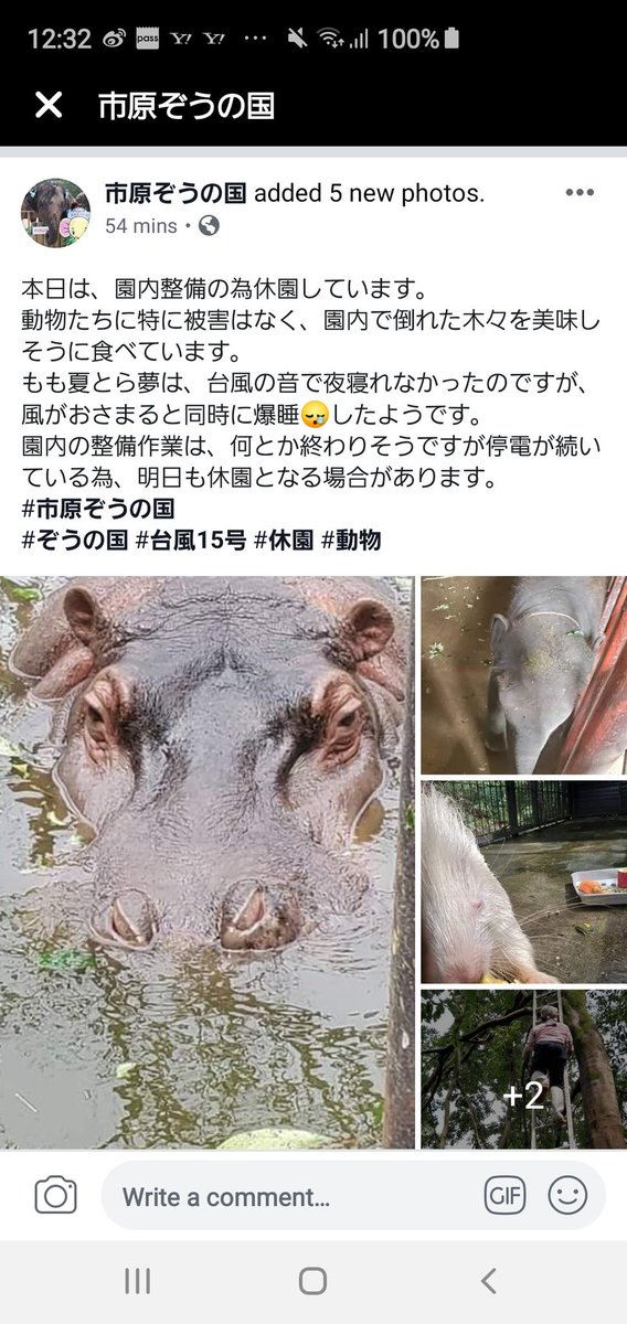 市原 ぞう の 国 台風