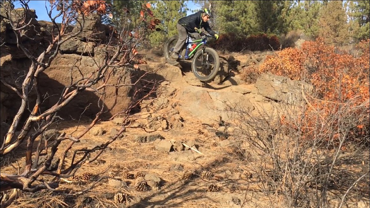 FatbackBikes's tweet photo. “It was a beautiful, bright #autumn day, with air like cider &amp; a sky so blue you could drown in it." – Diana Gabaldon.

Float over fresh golden leafs as easy as snow, sand, rocks, or whatever tickles your fancy with the #Fatback #Skookum.

https://t.co/EduDbLRl0C.

#fatbike #mtb https://t.co/KyMn0Ep3wX