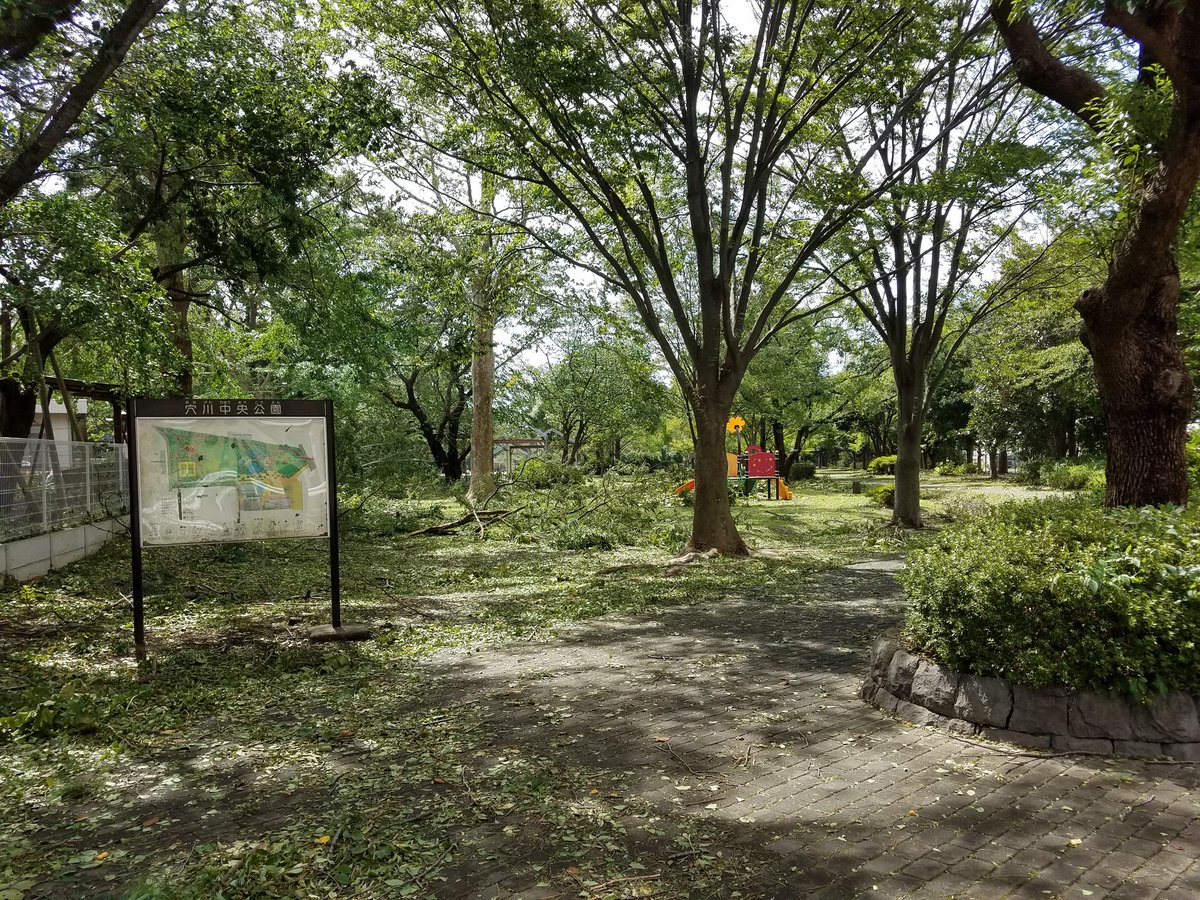 山上 穴川中央公園 荒れてる 山上 穴川中央公園 荒れてる