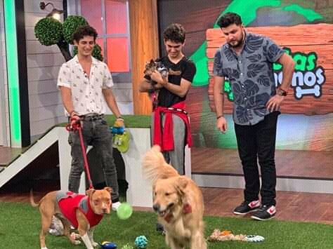 FuimosJuntos's tweet photo. Miren nadas más dos papas felices y llenos de orgullo ❤😅#PerfecTourEnMerida
@mailomarcos @JoaquinBondoni https://t.co/OdUCqJ4kWh