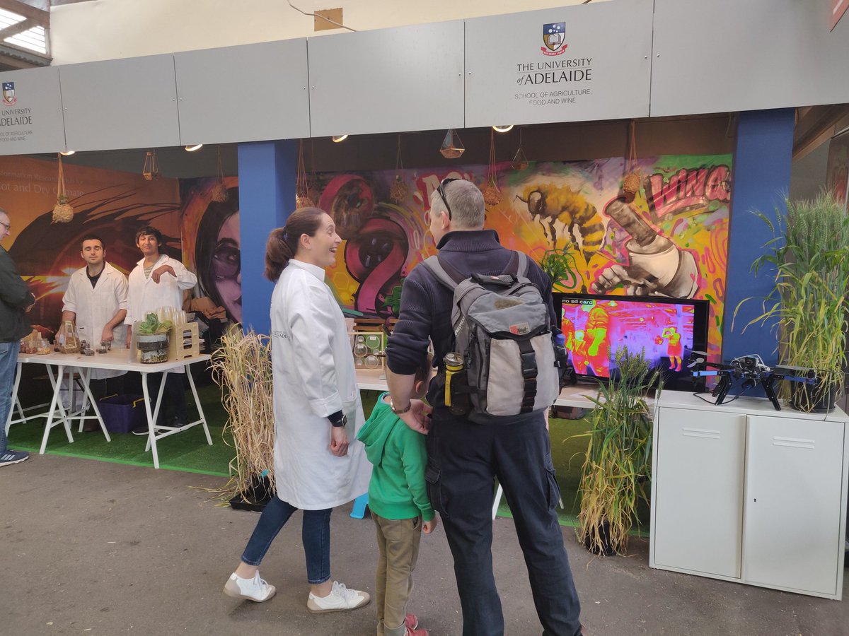 BiancaSciren's tweet photo. Another day and another sunny one at that!

#goldengrains #scienceisgolden #scicomm @adelaideshow   @UniofAdelaide  @UniAdelSciences @WomenOfWaite @waiteresearch @wheathub https://t.co/XEkmibbz0n