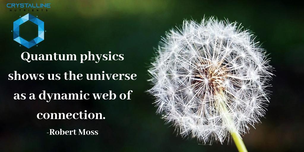 Crystalline528's tweet photo. The applications of quantum physics to our health are quite literally, limitless. 
#crystallinenutrients #quantum physics #quantumentanglement #quantumtheory #yourmindcreatesthisworld #selfhealing https://t.co/65ggyjZvQT