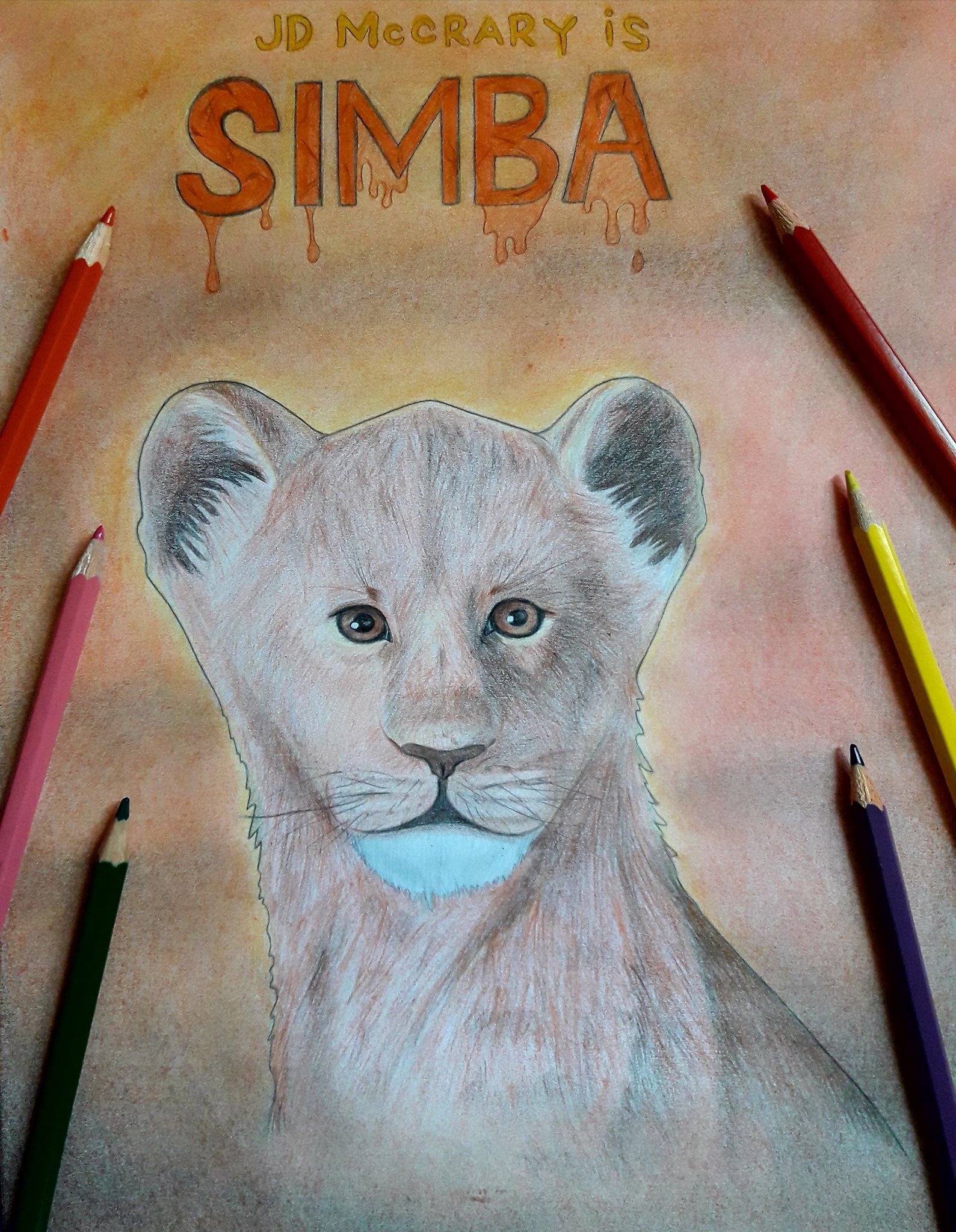 Reena Robert I Enjoyed Very Much To Drawing Simba The Lion King Disneylionking Disney Disneystudios Jdmccrary Donaldglover Simba Nala Mufasa Scar Timon Pumbaa Rafiki Sarabi Zazu Thelionking19 Disney