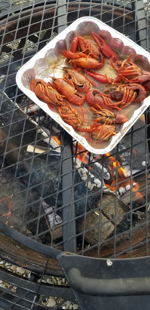 otfarms's tweet photo. Sunday night's delicacies on the pit; tasty, tasty. https://t.co/LFhLC8PaVL
