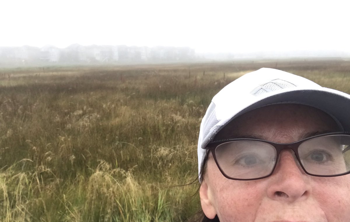 PennyBeaudry's tweet photo. Runs #2 an 3 done! Today was my first virtual run #DIVASrunningseries and Run Silverado! A misty morning today on happy trails. https://t.co/Y4x3JH4cQt
