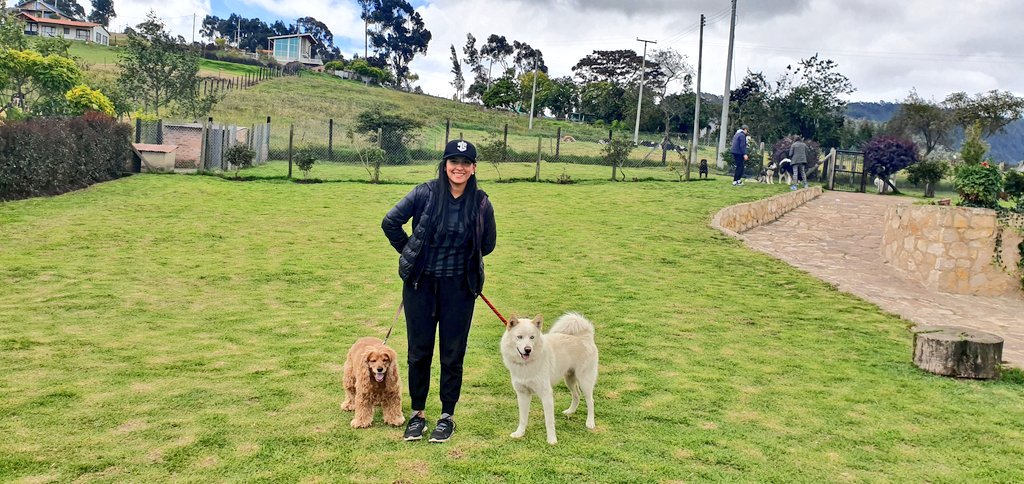 catalinaT25's tweet photo. Terminó mi día con dos de los perritos de la casa.... ❤❤ el otro no se queda quieto para la foto jajajaja #Luna #Freky #díainternacionaldelperro https://t.co/RN77yXKVud