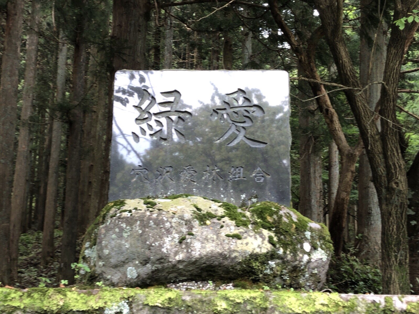 油圧式クォーイチ على تويتر カワサキ乗りはこれを壁紙 待ち受け画面にするべし カワサキ Kawasaki ライムグリーン Ninja 緑愛 川崎重工