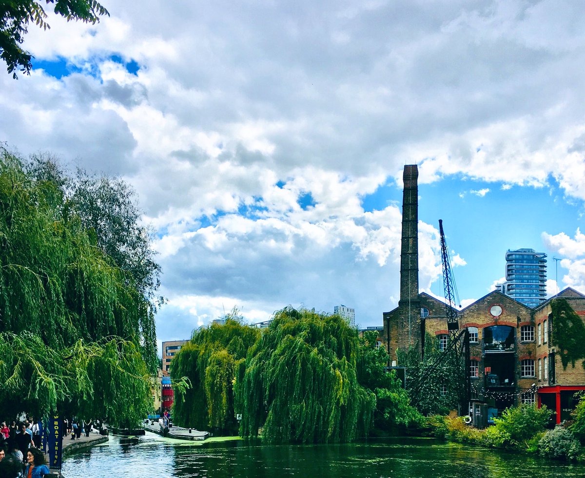 laura beck (@laurasbeck) on Twitter photo 