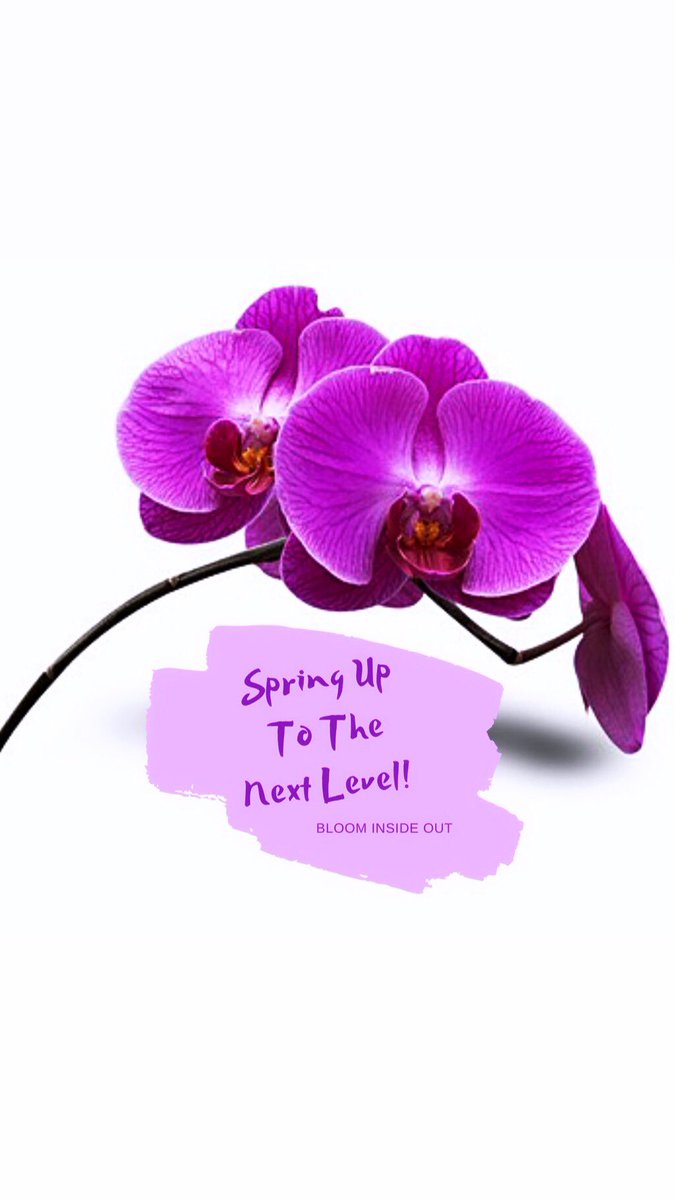 bloominsideout_'s tweet photo. CHEERS TO THE BLOOM SEASON π₯ππΎππ½
.
May we spring up to the next level in every area of our lives!
May we spring to the next level of our purpose & spiritual journey!
May we spring up to the next level of our businesses and careers!
#SpringDay2019 https://t.co/N0ckSsyE8w