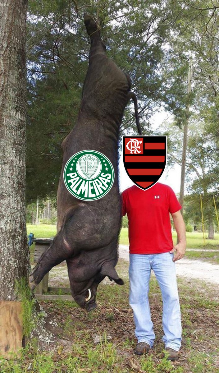 NevesRRN's tweet photo. @Palmeiras https://t.co/H8weCYh0nP