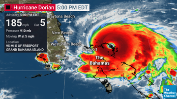 View image on Twitter