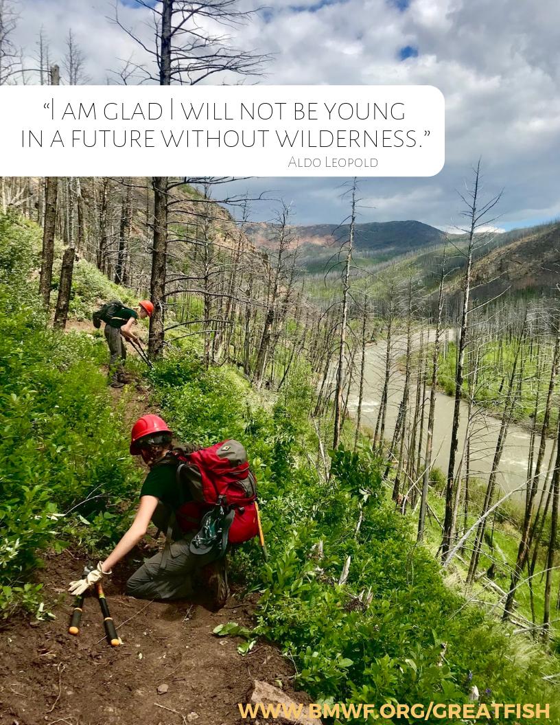 BMarshallWild's tweet photo. For the sake of all generations - https://t.co/w1enG1pfqW #lovethebob #bobmarshallwilderness #publiclands #donate #montana #greatfishcommunitychallenge #wilderness https://t.co/FklNmHCGIC