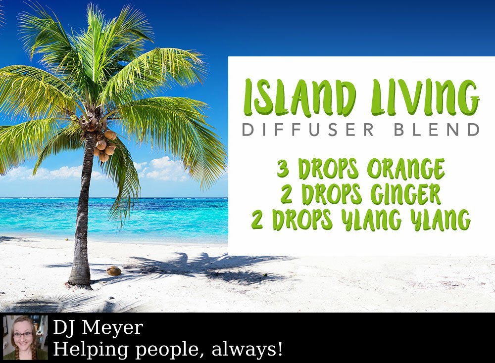 DJ83Meyer's tweet photo. Pick an island, any island. Now close your eyes. What are you doing? What are you eating? Who is with you? https://t.co/hTEbbj6rGV