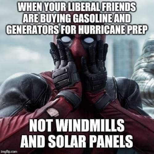 KSWildFacts's tweet image. 