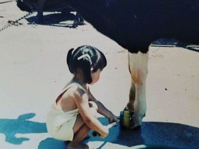EmilyforKC's tweet photo. I was raised in #ruralKS. My family had a farm. Cows were our thing & giving our #showcow a bath was a family affair as we got ready for the 4-H show.
We are wanting to #hit100 donors that will donate $37 before Emily's birthday on Sept 7. Can you help?
https://t.co/8rzPORqEi5 https://t.co/JTt1bQnVU4