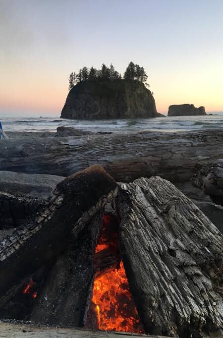 SAV0RYAV3RY's tweet photo. gloomy day in washington obviously meant going down to la push, can’t say we found any vampires and gabe is no survivalist (the fire took longer than it should) but hazel did find some bird soulmates. LA PUUUUSH BABY LA PUUUUSH https://t.co/lLYNI6TYUa