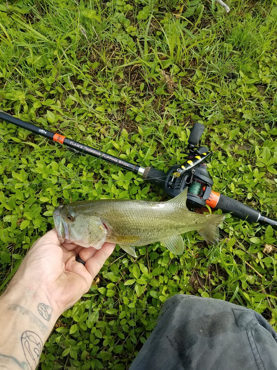 bruisedfriut's tweet photo. Had about an hour today, raining when I got there but glad I stayed. Got 2 on the gunfish with the @kastkingusa speed demon reel.
#fishing #fishdayton #fishohio #fiveriversmetroparks #Kastkingusa #DYTangler #KFNS #largemouthbass #LMB #magoolagoon #luckycraft https://t.co/FwN48v6u9Y