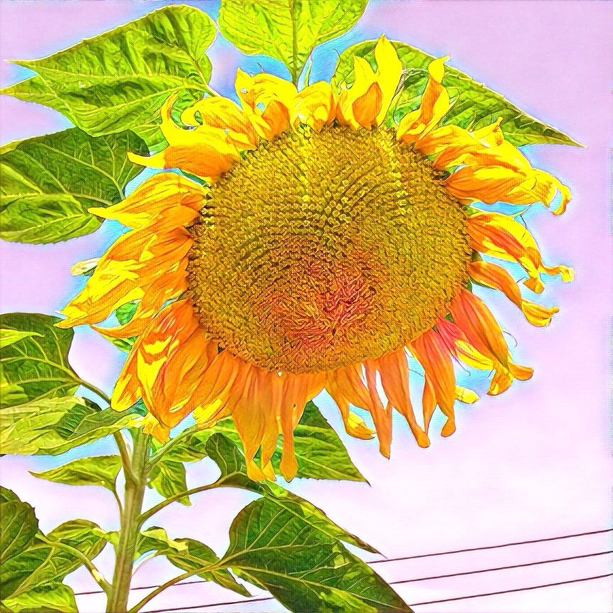 JCharlesThomas tweet media