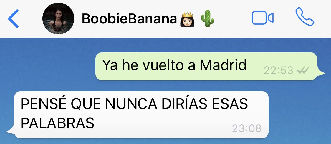 Paula 🦖 tweet media