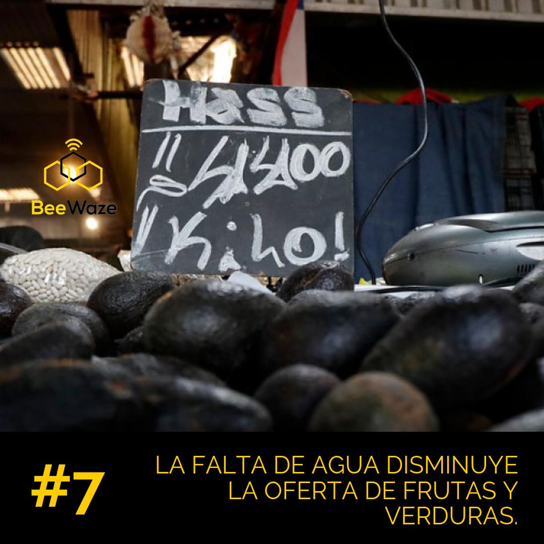 Beewaze2's tweet photo. Escasez de agua y una mala polinización por falta de 🐝 o flores, impide que el fruto germine por lo que habrá menos cantidad de alimento. Los precios subirán dada la alta demanda y poca oferta. ¿Paltas a $5.000? Es muy posible. #beewaze #iot #apicultura #bee #miel #polinizacion https://t.co/16SMVaPvcw