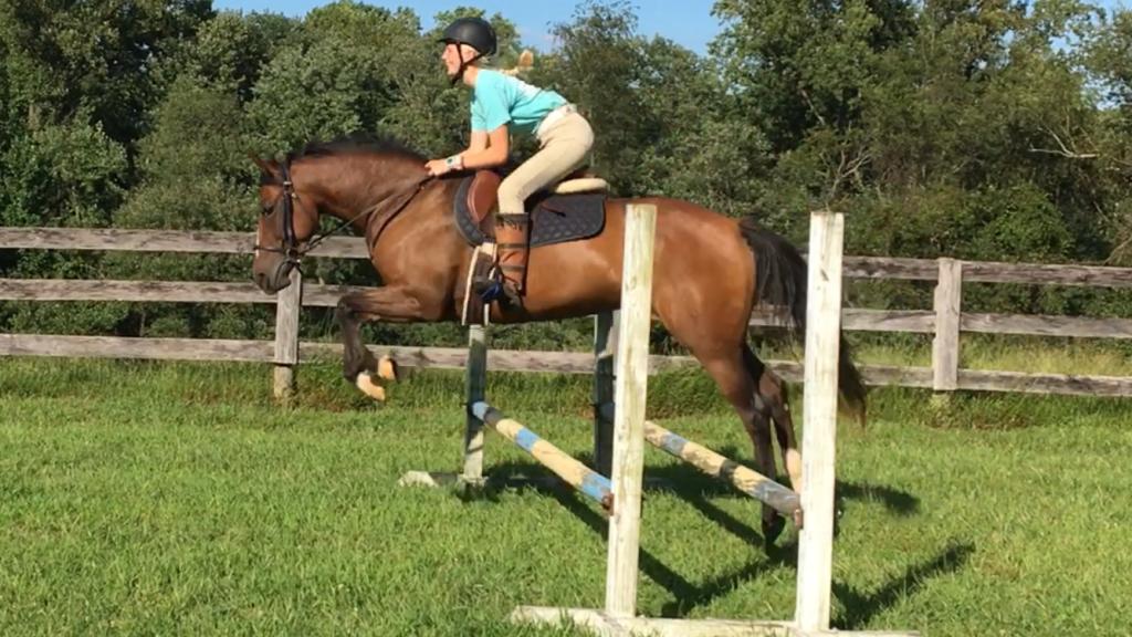 KORizzo's tweet photo. Bitsy’s Itsy update https://t.co/YvFdlLdXAu https://t.co/erG0gLp3ix