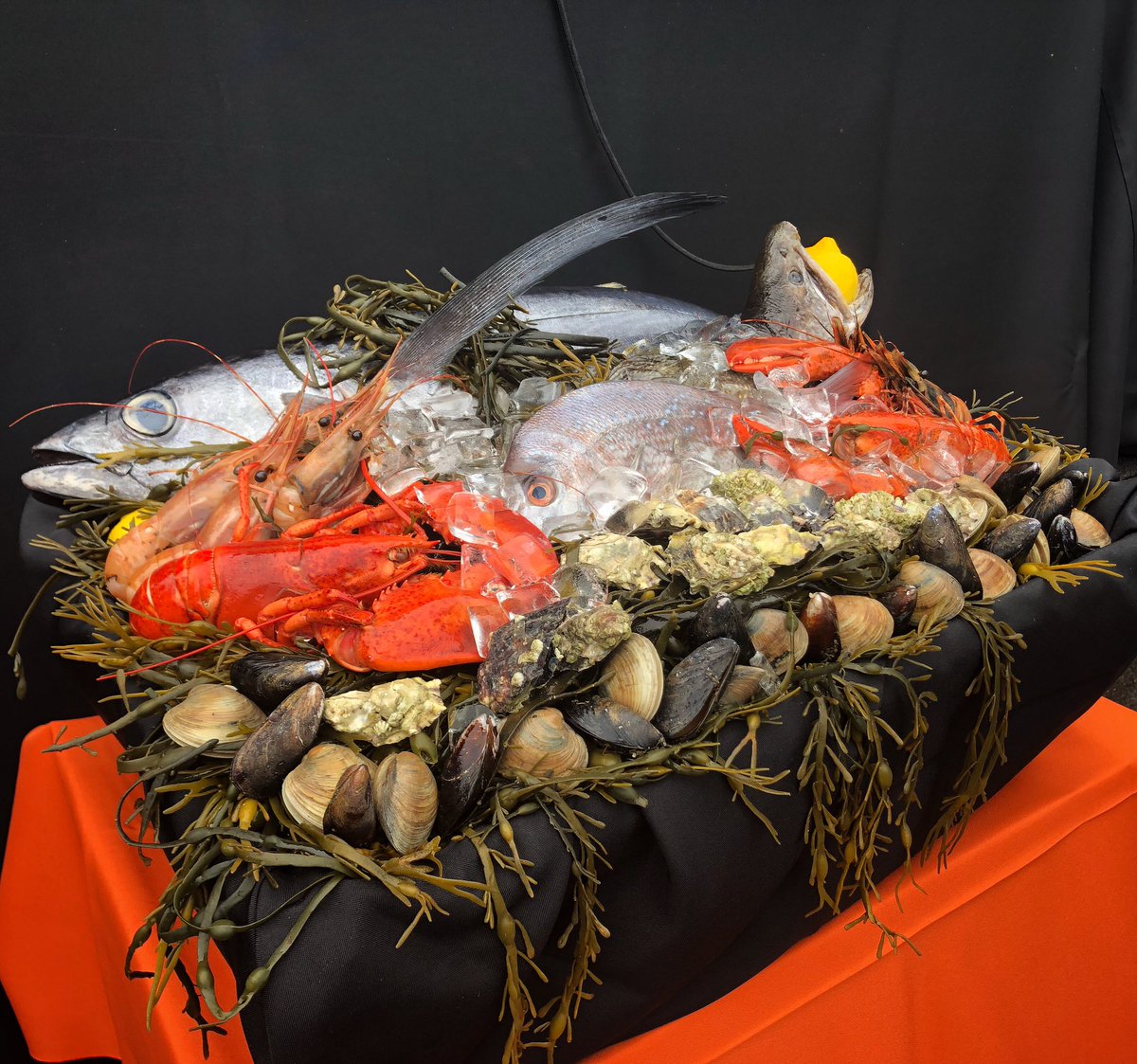 camperow88's tweet image. The Komodo Festival @sfzoo showcasing sushi-making tutorials 😋
.
.
.
❌ignore these❌ #outersunset #eatlocal #sanfrancisco #food #foodie #sffoodie #sfeats #foodstagram #instafood #bayareafoodie #sanfranciscofoodie #seafood #sushi #komodofestival #sushimaking #sustainablefood