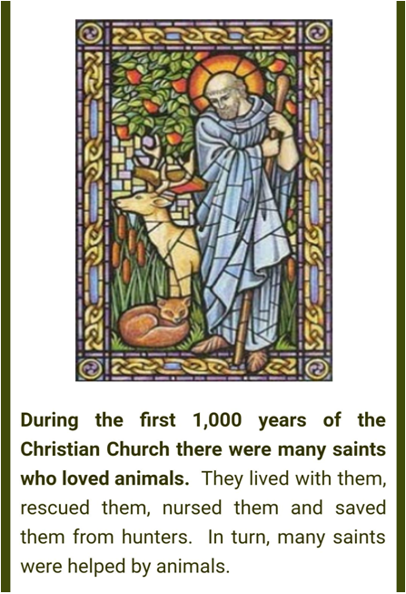 AnimalApologist's tweet photo. Helping God's animals has always been an important aspect of Christianity. Christians of the early Church understood the importance of caring for God's animals. #ReturnToEden #HelpGodsAnimals #EdenDiet https://t.co/pOWJcSfRM3