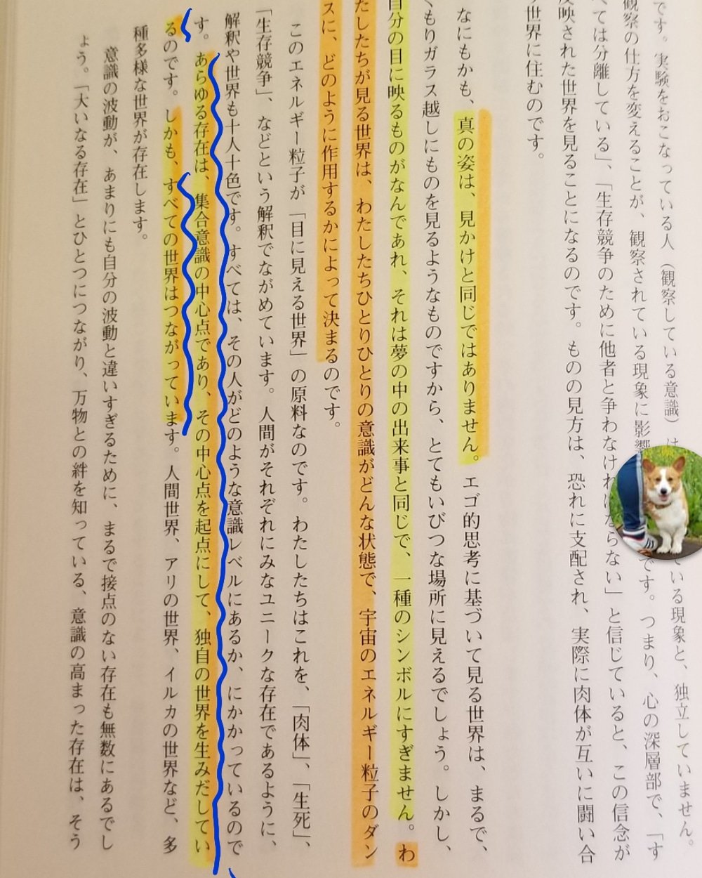 さとりをひらくと人生はシンプルで楽になる Twitter Search Twitter