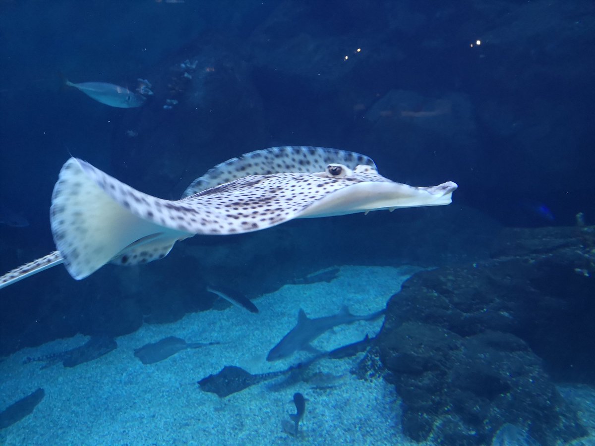 MichelleHayles's tweet photo. @NMAPlymouth a great day visiting you last week https://t.co/qm0dH6jdWv