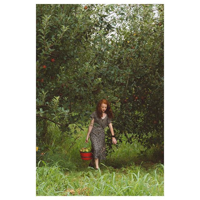 theexplorerdad's tweet photo. Half awake.
.
.
.
.
.
#foodie #delicious #yummy #pumpkins #photography #halloween #cider #instafood #food #craftcider #apples #craftbeer #foodporn #orchard #drinks #drinklocal #hardcider #fall #applepicking #pumpkinpatch #appleorchard #applecider #autumn… https://t.co/WQP5eq8ni7 https://t.co/qQu8kAZvlC