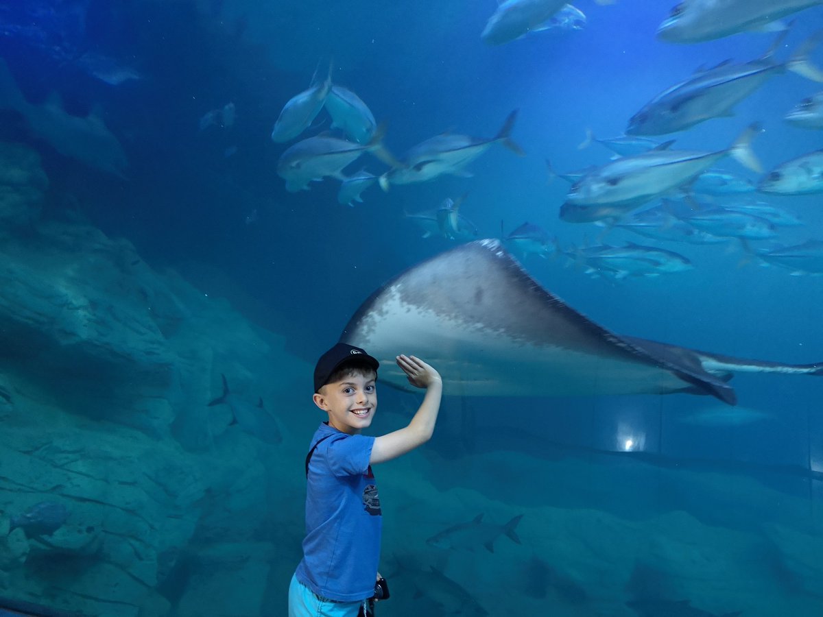 MichelleHayles's tweet photo. @NMAPlymouth a great day visiting you last week https://t.co/qm0dH6jdWv