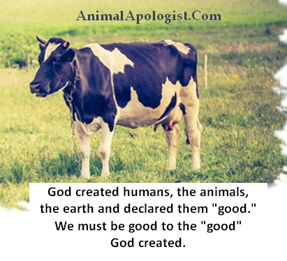 AnimalApologist's tweet photo. It saddens me when Christians try to justify eating animals by pointing to some verse in the Bible where animals are eaten or killed. We need to make an important distinction here between 1) what is in the Bible and 2) what the Bible actually teaches. #CalledToBeHoly #Return2Eden https://t.co/Q1JdTb2wR8