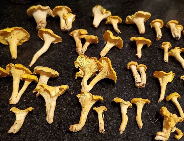 cidergeeks's tweet photo. The🍄 film had an ensemble cast to my delight https://t.co/COOhbzFnmX