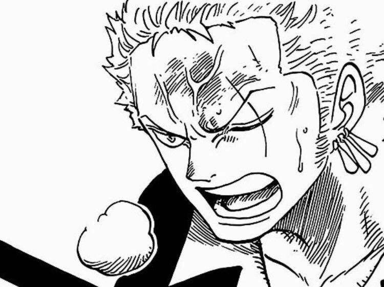 zoro dressrosa icon  One piece manga, Zoro, Naruto sketch