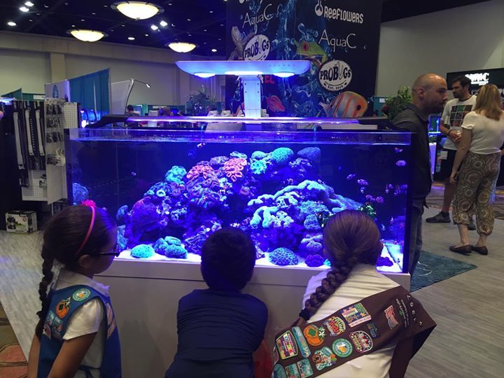 COBALT AQUATICS tweet media