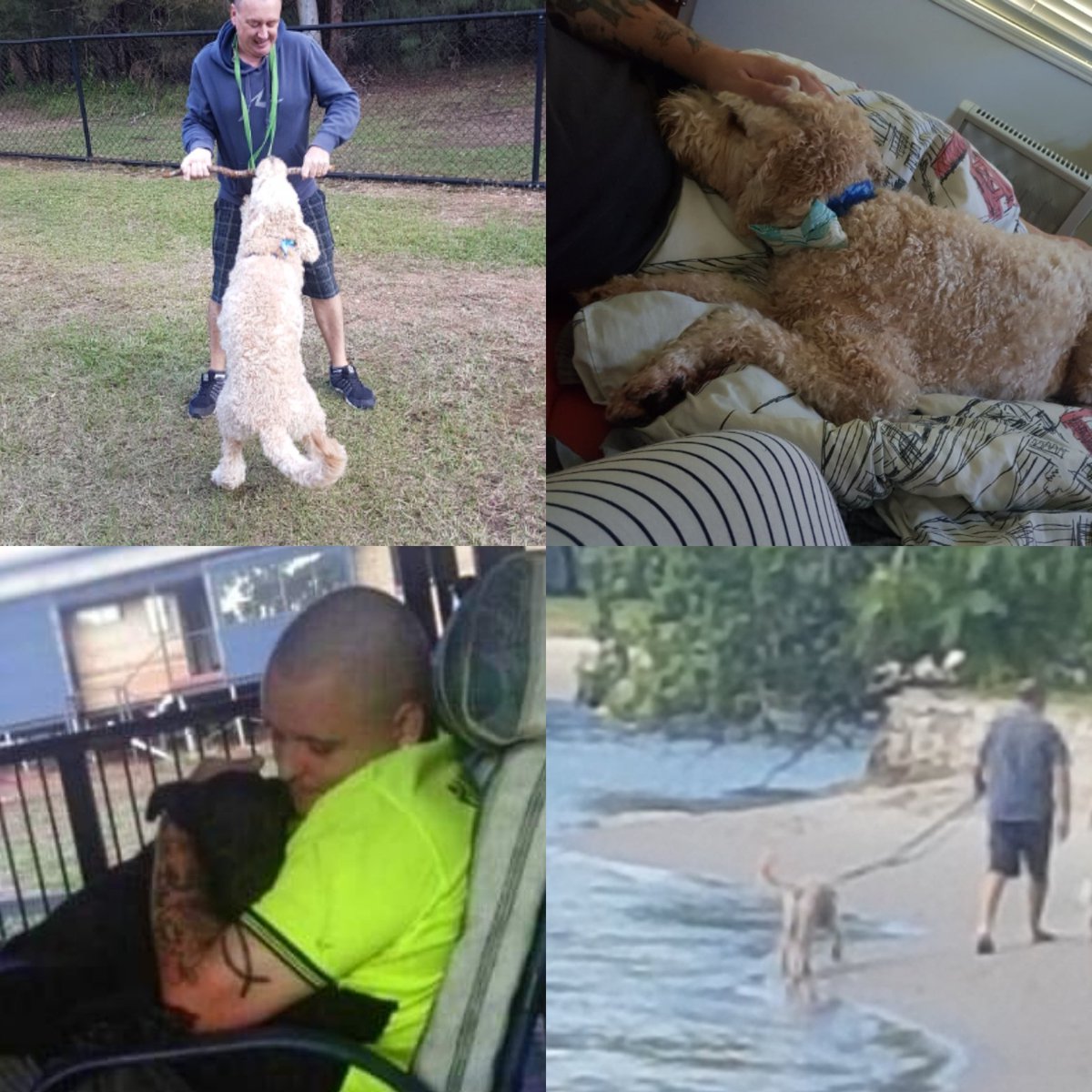 naturalCdelight's tweet photo. Happy Fathers day to all the pawesome dads ❤️ https://t.co/DUO7fBPtv1
