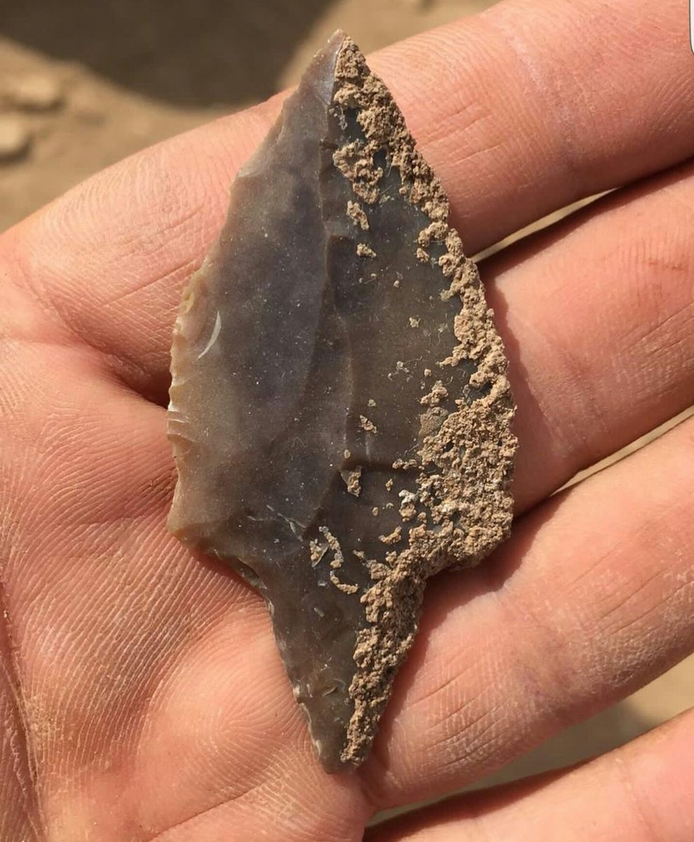 CetinkayaTR's tweet photo. Urfa Bölgesi'nde Harran Ovası çevresinde konumlandırılan PPN yerleşimlerinden olan Harbetsuvan Tepesi; Göbekli Tepe, Karahan Tepe, Hamzan Tepe ve Şanlıurfa-Yeni Mahalle'ye benzer şekilde malzeme ve dikili taş bulunmasıyla dikkatlerin odağı olmuştur. #Harbetsuvan #Arkeoloji #Kazı https://t.co/oeT3j7zBg0