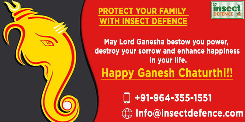 DefenceInsect's tweet image. 