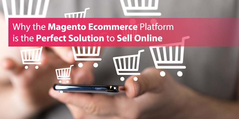 AugustInfotech's tweet photo. #Magento is now the world’s biggest #Ecommerceplatform which has gained trust widely all over the world. So, what make Magento the best E-commerce platform?
#ecommercewebsite #webdevelopmentcompany #augustcode #digitalagency #india https://t.co/01QDB3A0W1