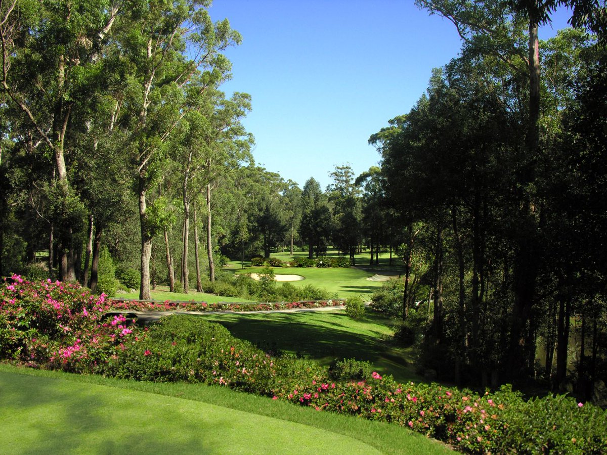 September Veterans Monthly Newsletter ⛳ - mailchi.mp/mollymookgolf.…