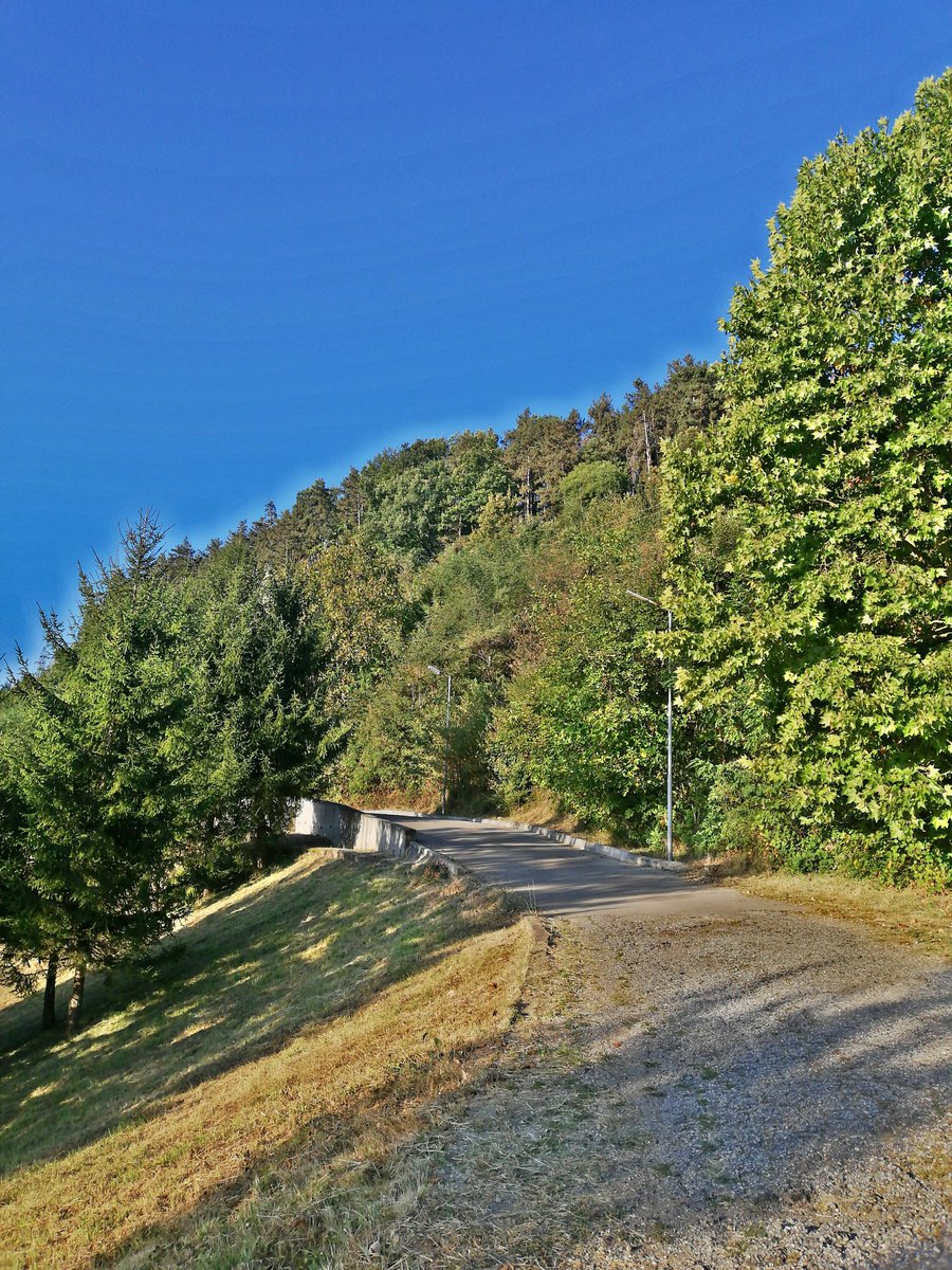 reni_89's tweet photo. Good Morning & Happy Monday 🌞
#GoodMorningWorld #MondayMorning #walk #morningwalking #sun #summer #sky #bluesky #street #nature #trees #green #effect #cameraeffect #photo #photography #Bulgaria 🇧🇬 https://t.co/jv7udgob5z