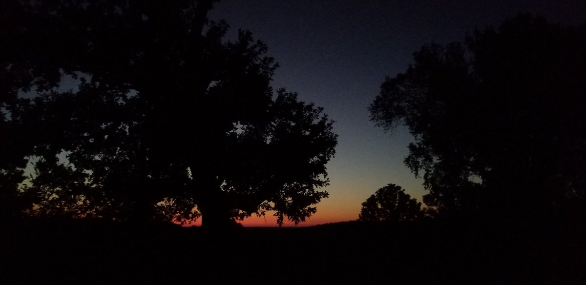 Shannon Franks tweet media