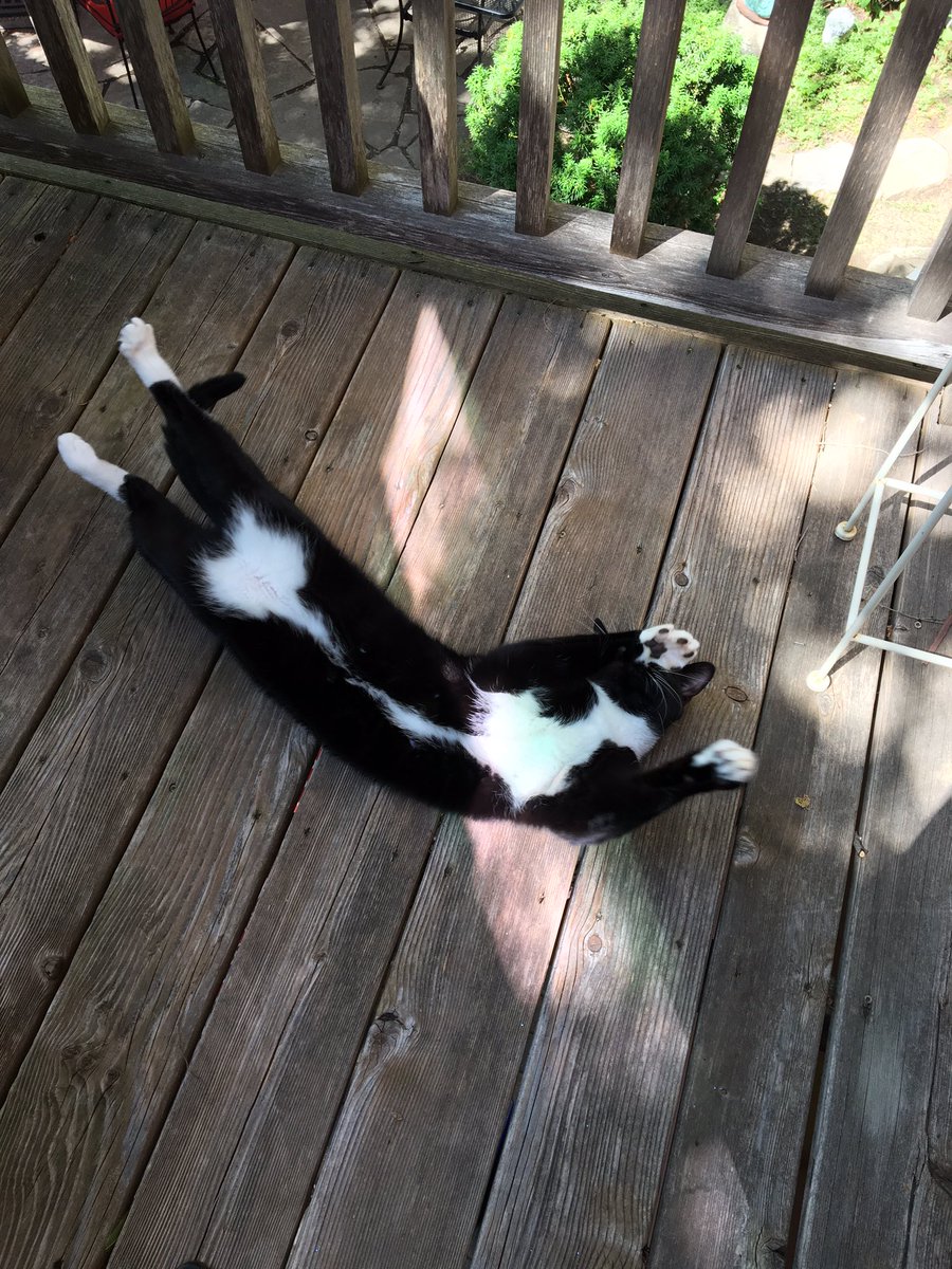 olac's tweet image. I wish you all to feel like this on Labour Day and every day.